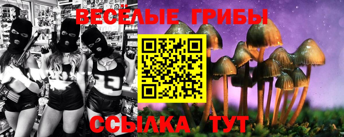 Феодосия  Псилоцибиновые грибы мицелий  Галлюциногенные грибы GOLDEN TEACHER  Вход с VPN 